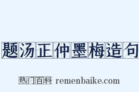 题汤正仲墨梅造句是什么意思的图片